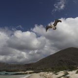 L'île de Floreana a été l'une des premières habitées par l'homme de l'archipel des Galapagos (archives).